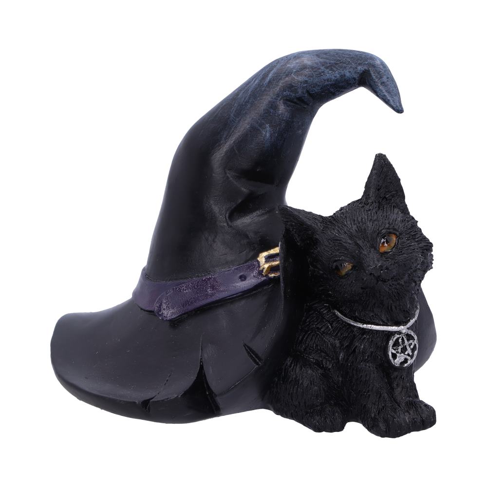 New Nemesis Now Purrah Witch Cat Figure Figurine deals 13.5 cm FOR SALEM1620