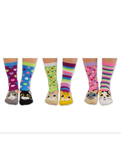 UNITED ODDSOCKS CATWALK SIX PURRFECT CAT ODD SOCKS FOR LADIES UK 4 - 8 GIFT IDEA - Pixel Corner