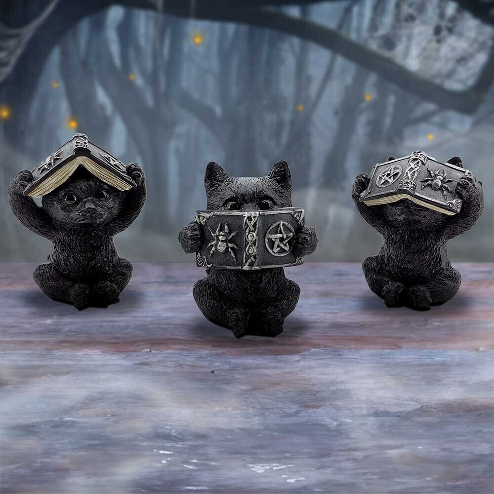 Three Wise Spell Cats Figurine by Nemesis Now - 8.5cm - Pixel Corner