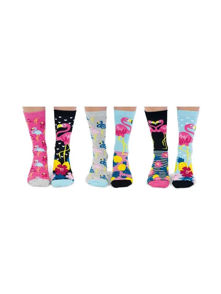 UNITED ODDSOCKS GO FLAMINGO SIX WILD FUNKY ODD SOCKS LADIES UK 4 - 8 GIFT BOXED - Pixel Corner